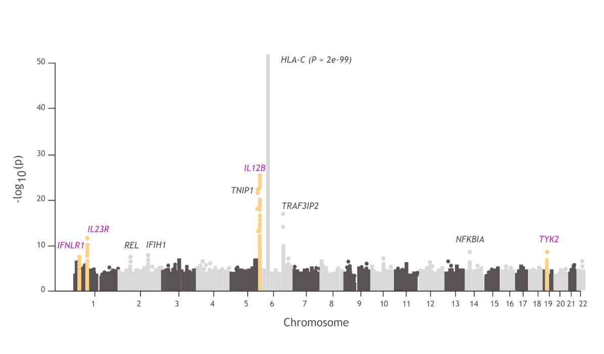 Manhattan Plot, Reprinted from Stuart PE, et al. Am J Hum Genet. 2015;97(6):816-36.